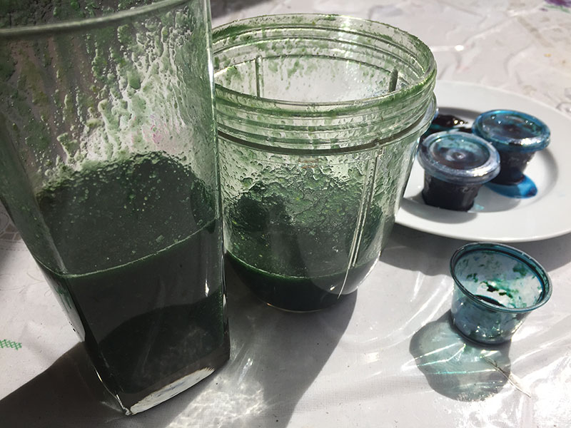 Defrosted fresh spirulina smoothie