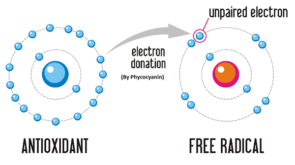 Phycocyanin electron donating - antioxidant action