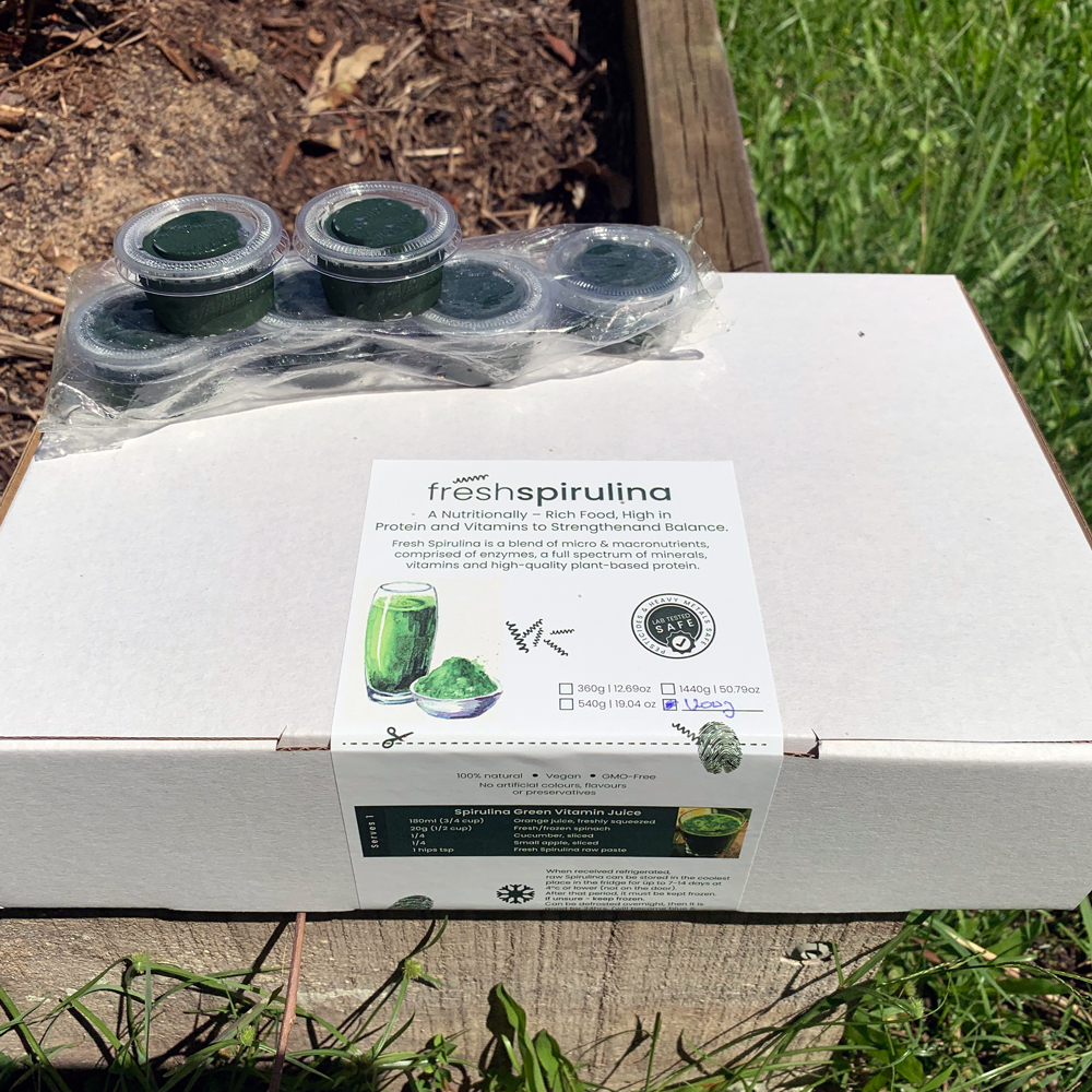Fresh Spirulina large box with serves on top image
