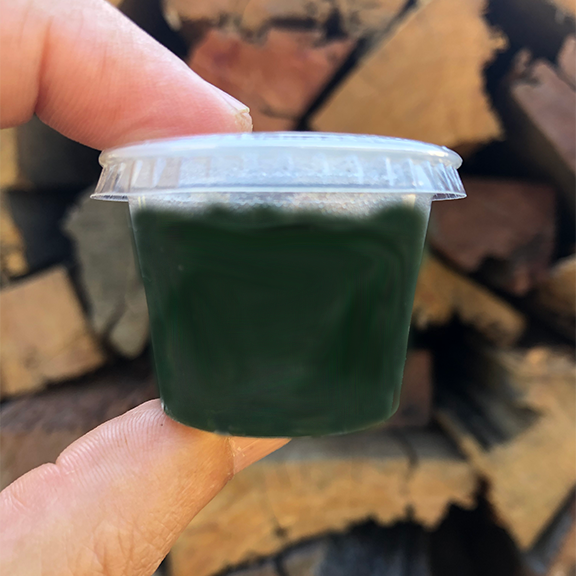 Fresh Spirulina dose/serve recommendation