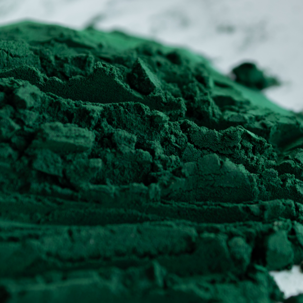 Fresh Spirulina Pure Powder Image