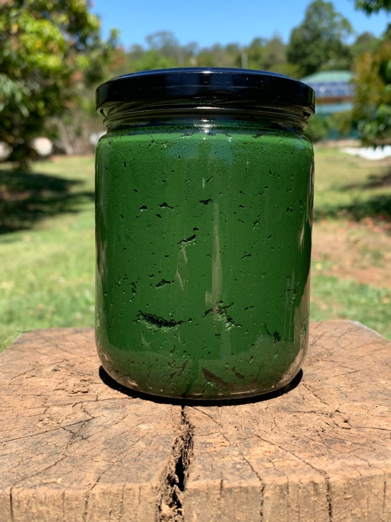 Raw, Fresh Spirulina Jar with a lid image