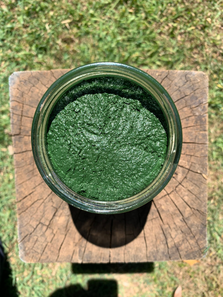 Raw, Fresh Spirulina Jar Open Image