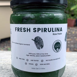 Fresh Raw Spirulina in a Jar Image