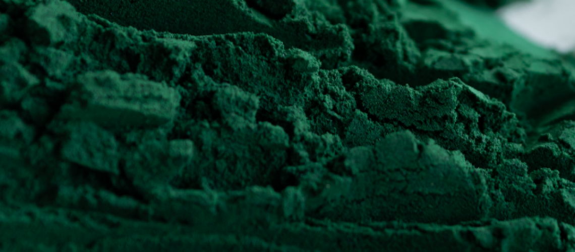 Fresh Spirulina Pure Powder Image